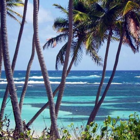 Le Hamo - Cosy : T2 magnifique piscine proche plage Sainte-Anne Esterno foto