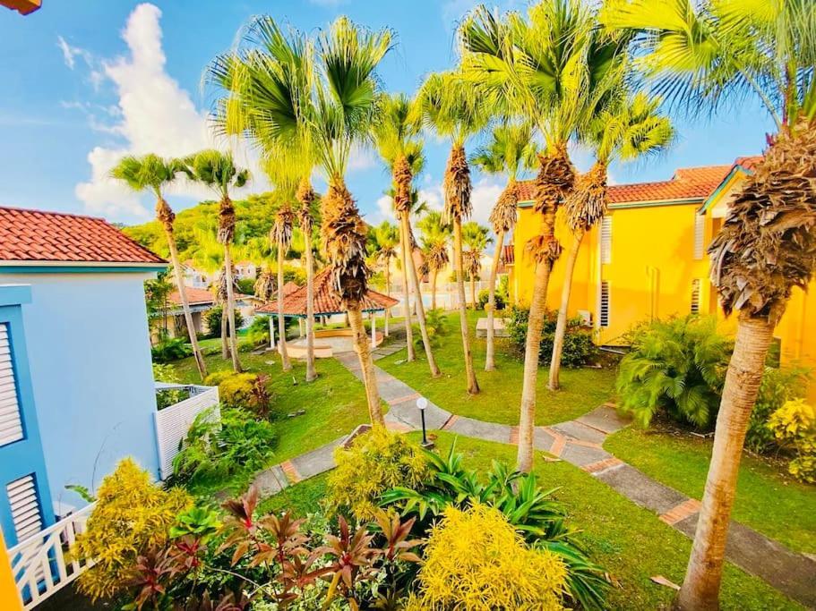 Le Hamo - Cosy : T2 magnifique piscine proche plage Sainte-Anne Esterno foto