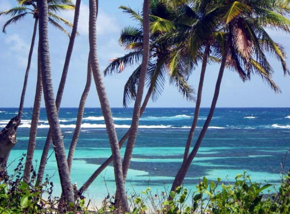 Le Hamo - Cosy : T2 magnifique piscine proche plage Sainte-Anne Esterno foto