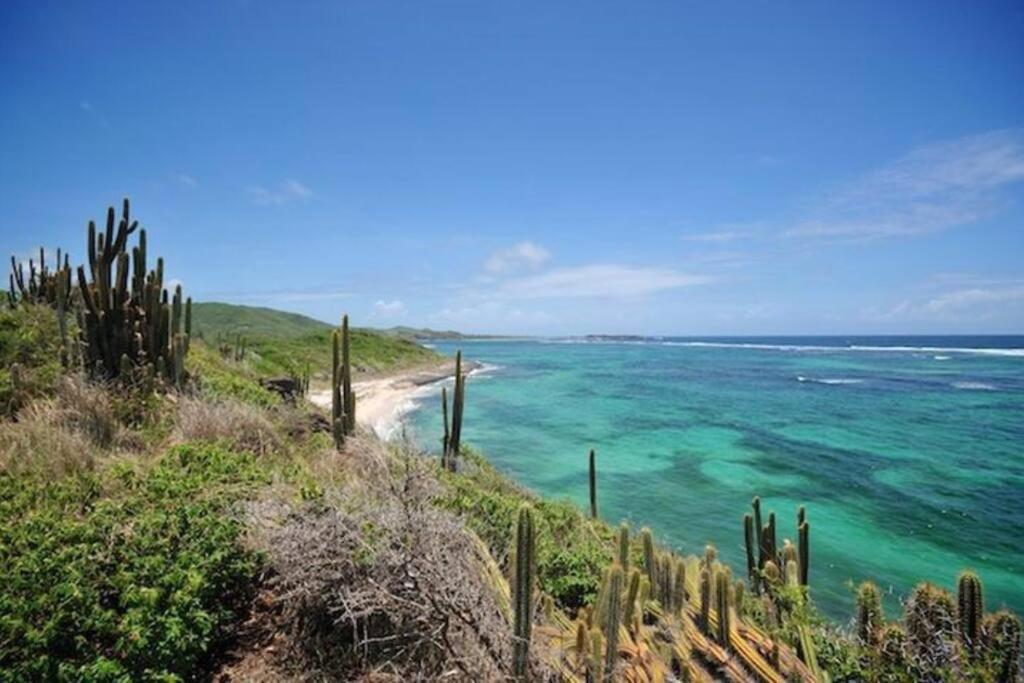 Le Hamo - Cosy : T2 magnifique piscine proche plage Sainte-Anne Esterno foto