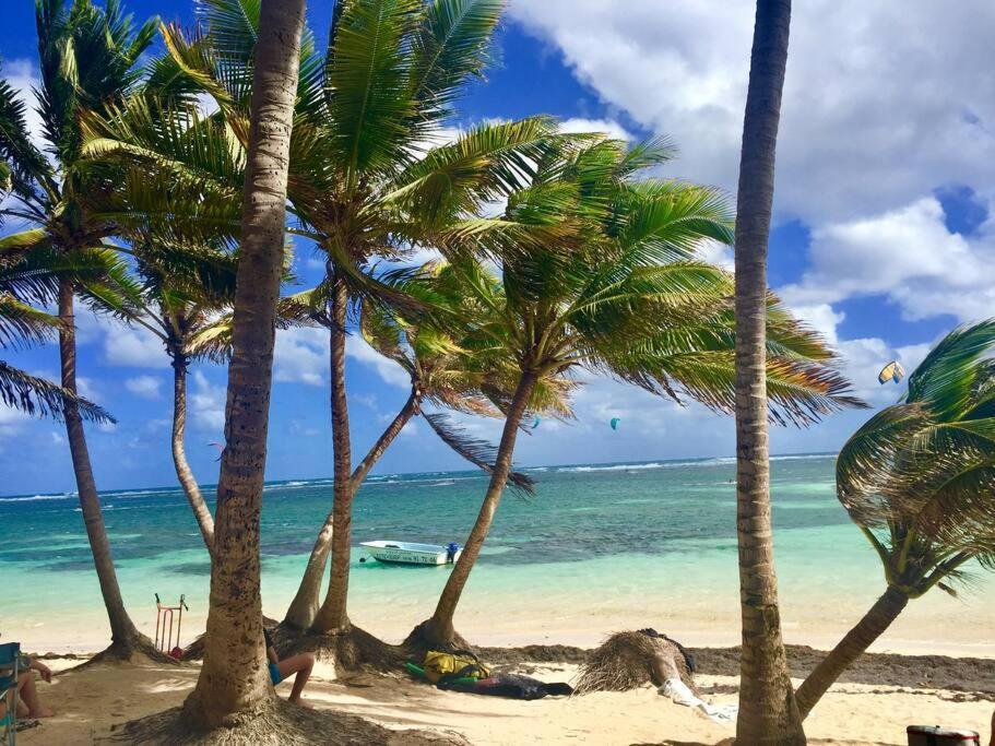 Le Hamo - Cosy : T2 magnifique piscine proche plage Sainte-Anne Esterno foto
