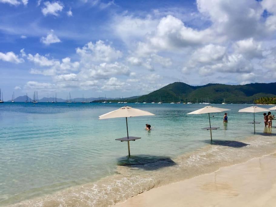 Le Hamo - Cosy : T2 magnifique piscine proche plage Sainte-Anne Esterno foto