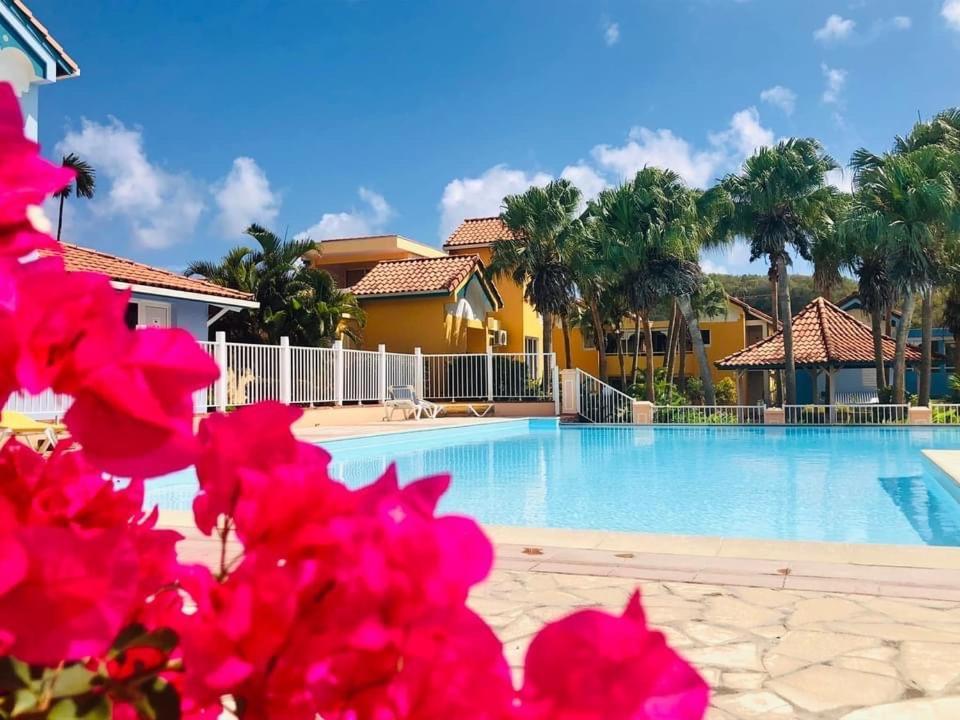 Le Hamo - Cosy : T2 magnifique piscine proche plage Sainte-Anne Esterno foto